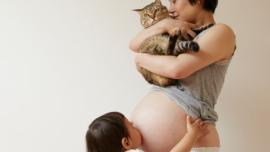 toxoplasma kucing sjarah