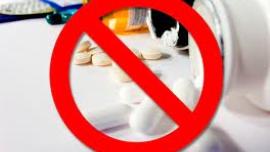 jangan berikan parasetamol pada kucing