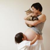 toxoplasma kucing sjarah